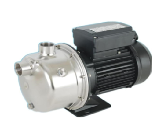 Raw water pump